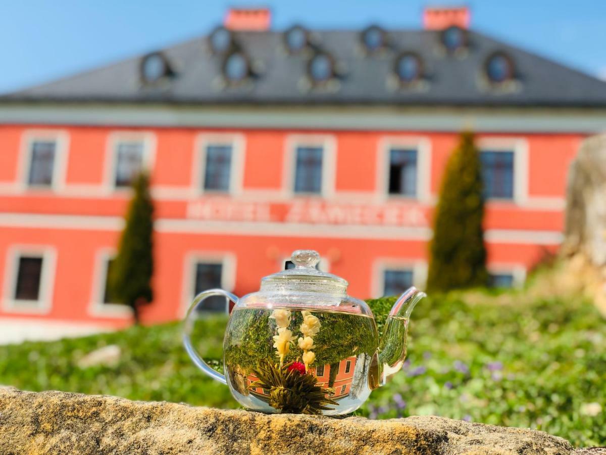 Wellness Hotel Zamecek Jetrichovice  Exterior photo